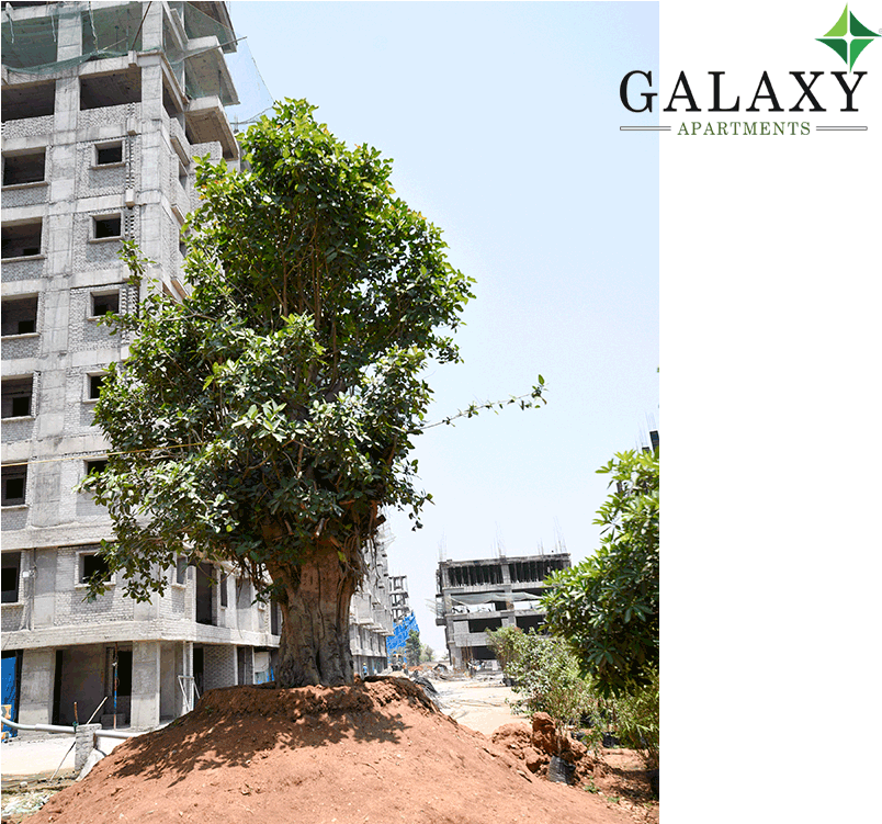 Project Status - - Penthouse Apartment Clipart (1000x750), Png Download