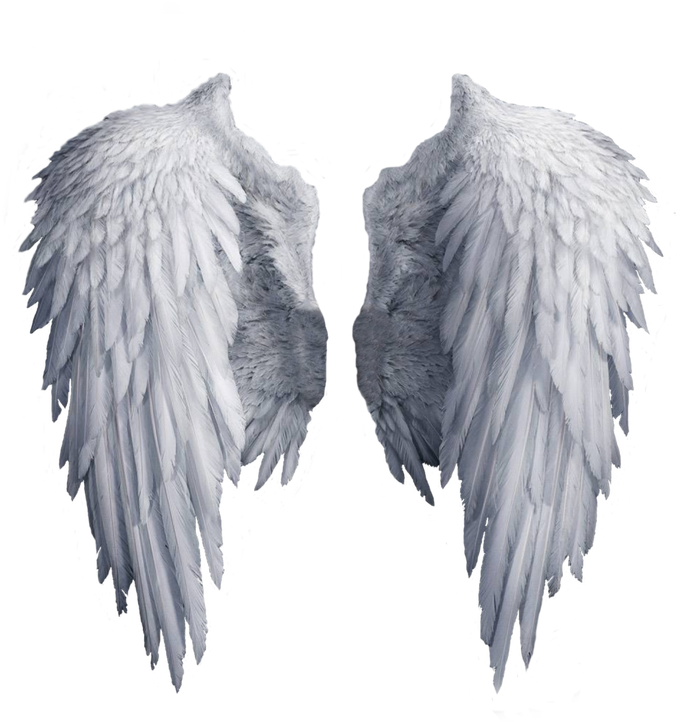 Angel Wings Png, White Angel Wings, Angel Aesthetic, - White Angel Wings Transparent Background Clipart (720x838), Png Download