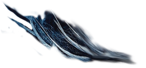 0 Movie Poster Background Background Images Hd, Picsart - European Swallow Clipart (640x928), Png Download