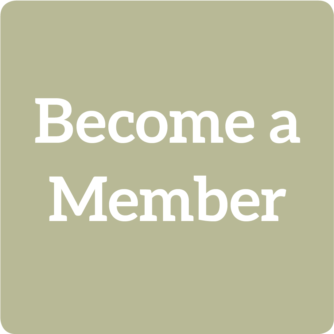 Tan Clipart (1800x1500), Png Download