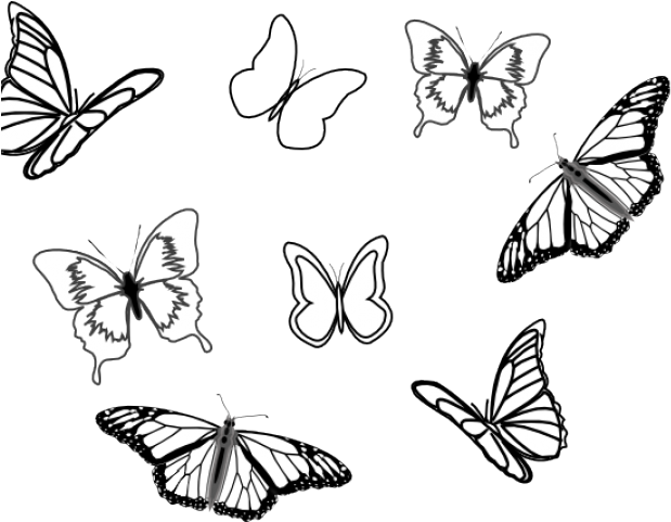 Eight Butterflies Black And White Clipart - Png Download (640x480), Png Download