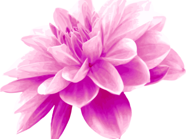 Dahlia Clipart Light Purple Flower - Dahlia Flower Clip Art - Png Download (640x480), Png Download