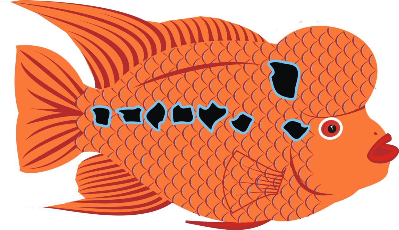 Clip Freeuse Stock Flower Horn Bony Fishes Drawing - Vector Flowerhorn - Png Download (1297x750), Png Download