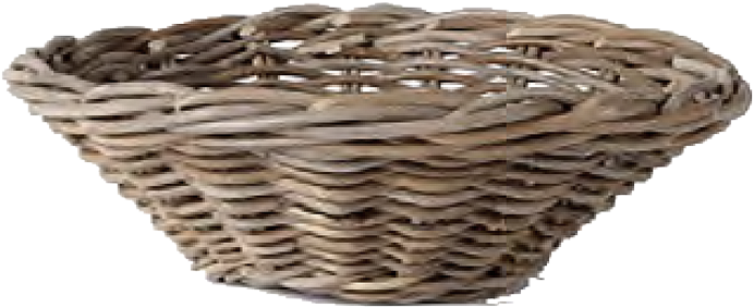 Sempre Corso De Fiori Curators Of A - Storage Basket Clipart (900x670), Png Download