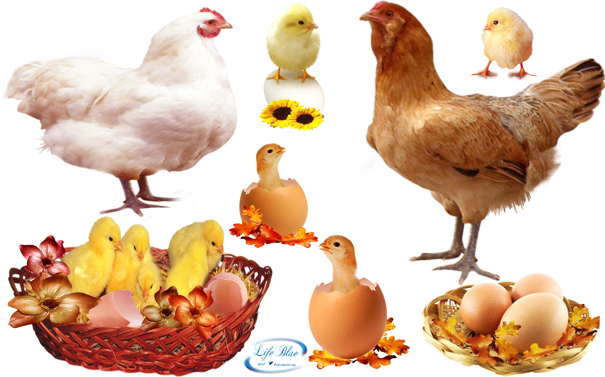 Food , Png Download - Food Clipart (1951x1218), Png Download