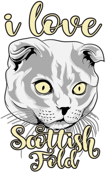 Cat Tshirt Hand Illustration - Cats Design T Shirt Clipart (640x640), Png Download