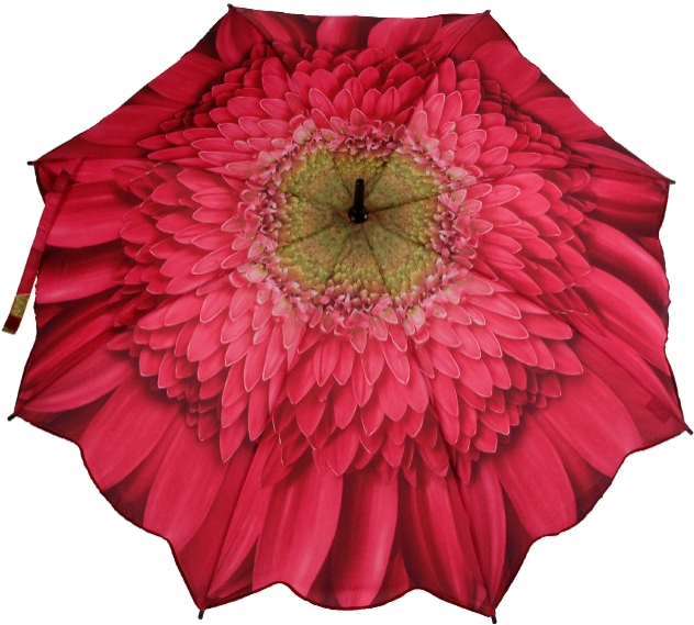 Gerbera Daisy Pink Folding Umbrella , Png Download - Flower Umbrella Clipart (632x569), Png Download