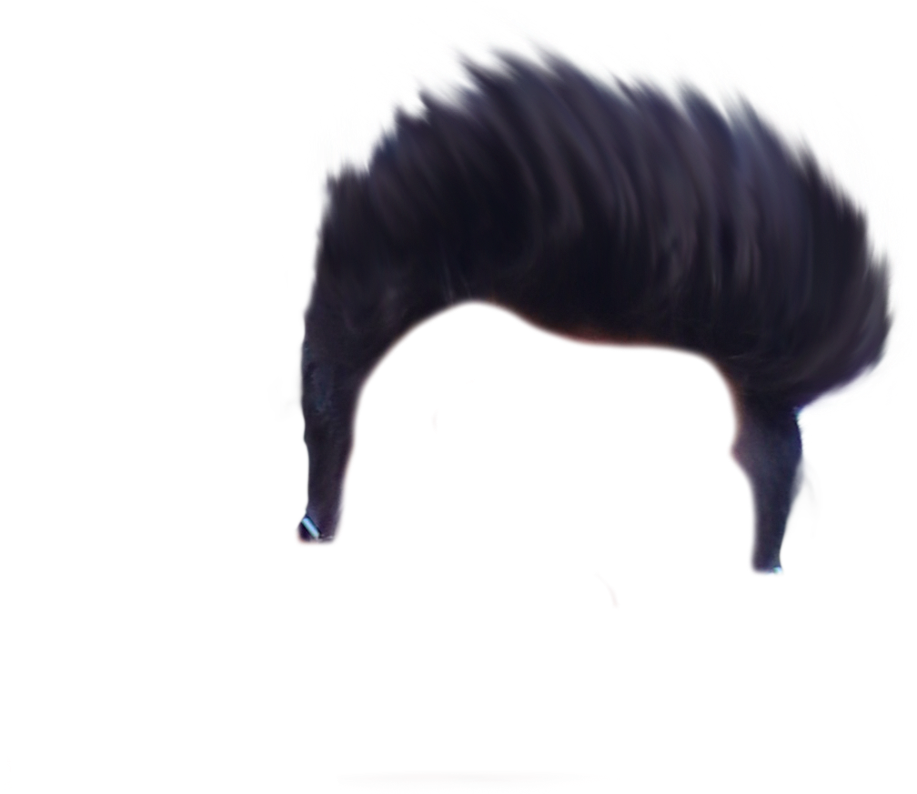 Hair Png - Mane Clipart (1500x1386), Png Download