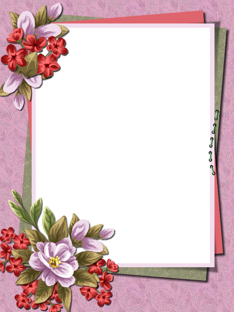 Visit - Moth Orchid Clipart (768x1024), Png Download