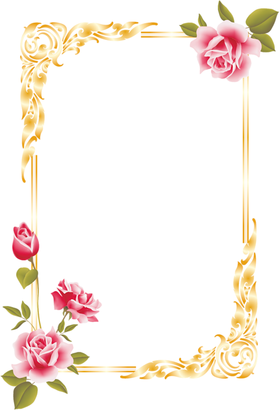 Фотки Borders For Paper, Borders And Frames, School - Flower Border Design Png Clipart (546x800), Png Download