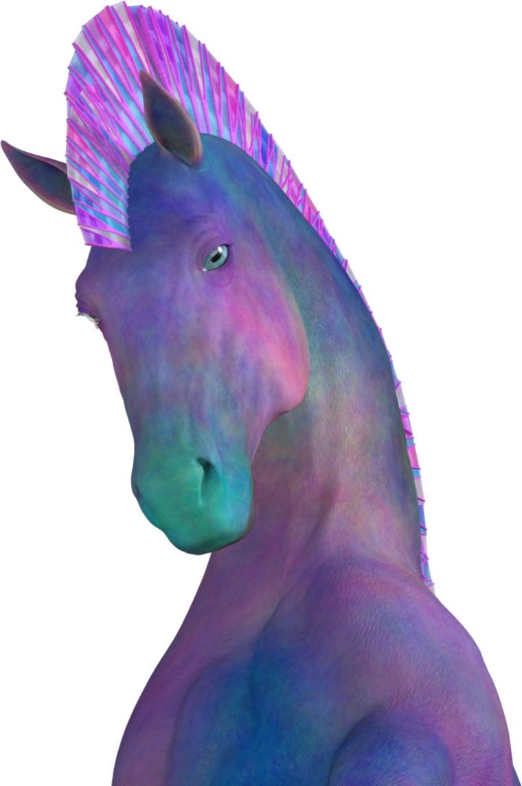 Hippocampus - Head - Horse Clipart (760x1143), Png Download