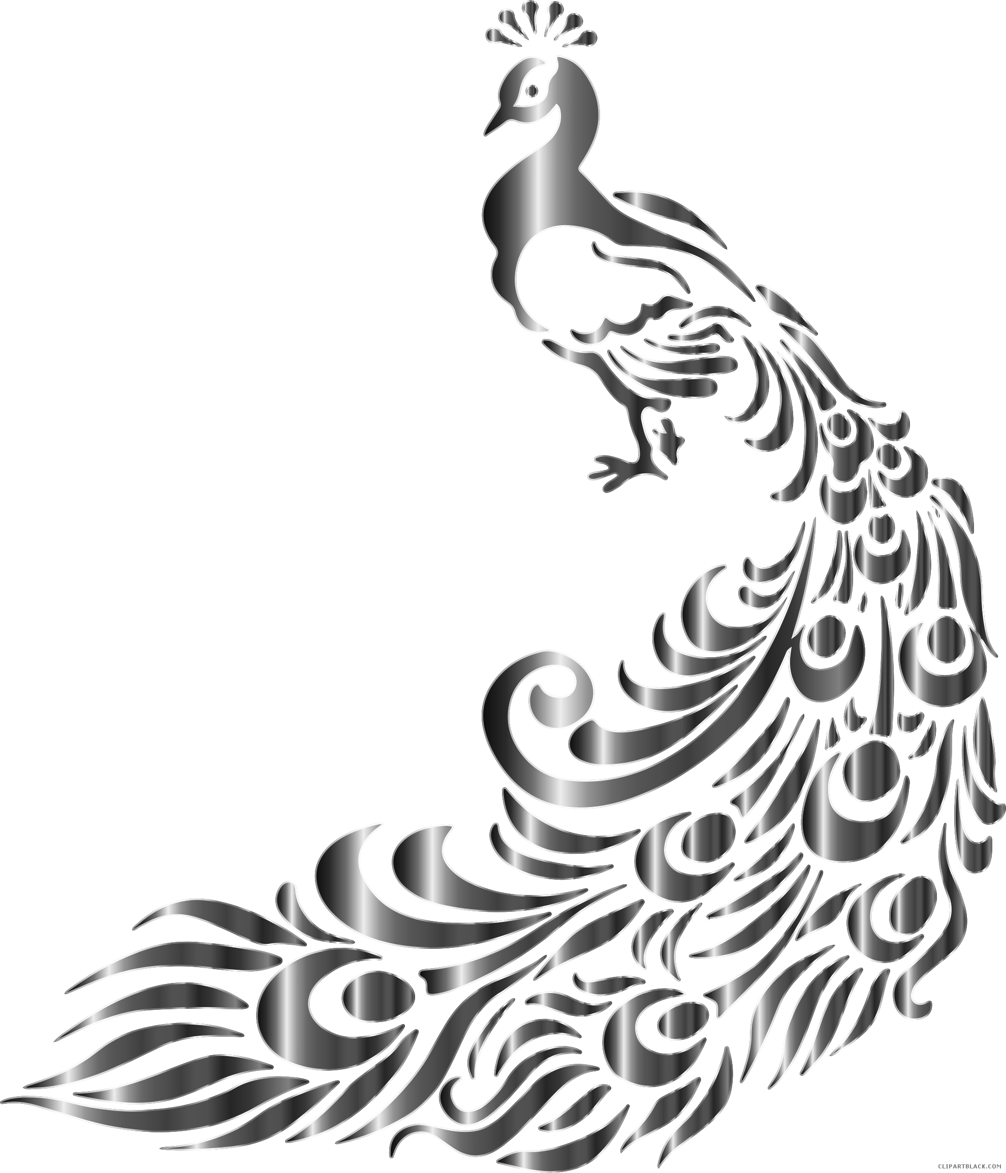 Peacock Feather Png Black And White Clipart (1980x2308), Png Download
