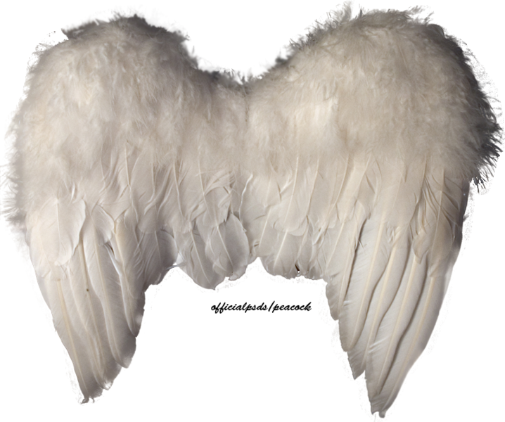 Angel Wings - 천사 의 날개 Psd Clipart (718x600), Png Download