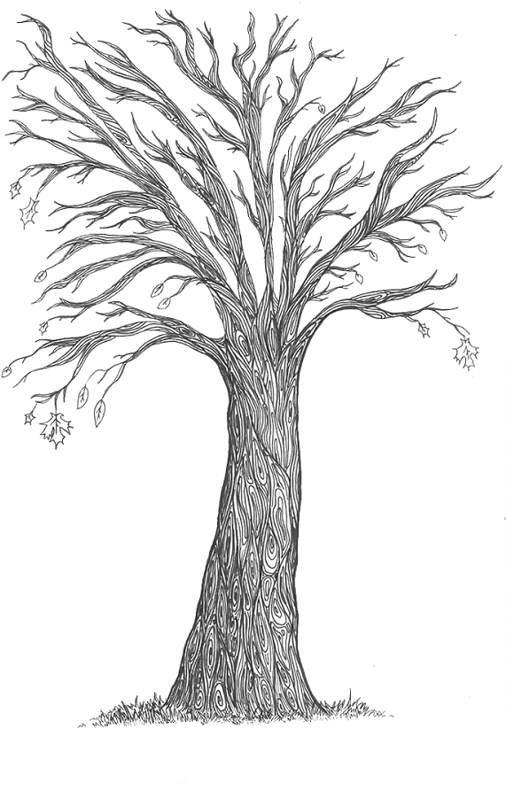 The Trees, Which Are Designed To Represent The Monster's - Sketch Clipart (1600x900), Png Download