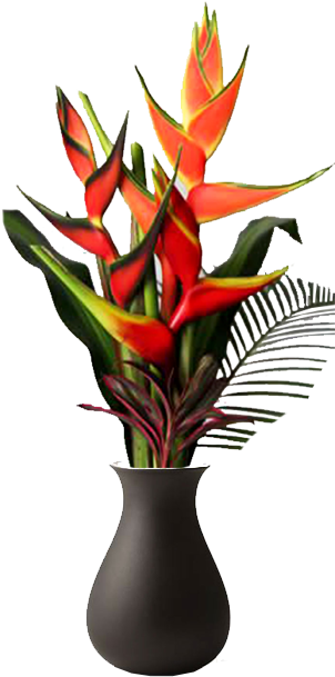 Medium - Bromelia Clipart (612x671), Png Download