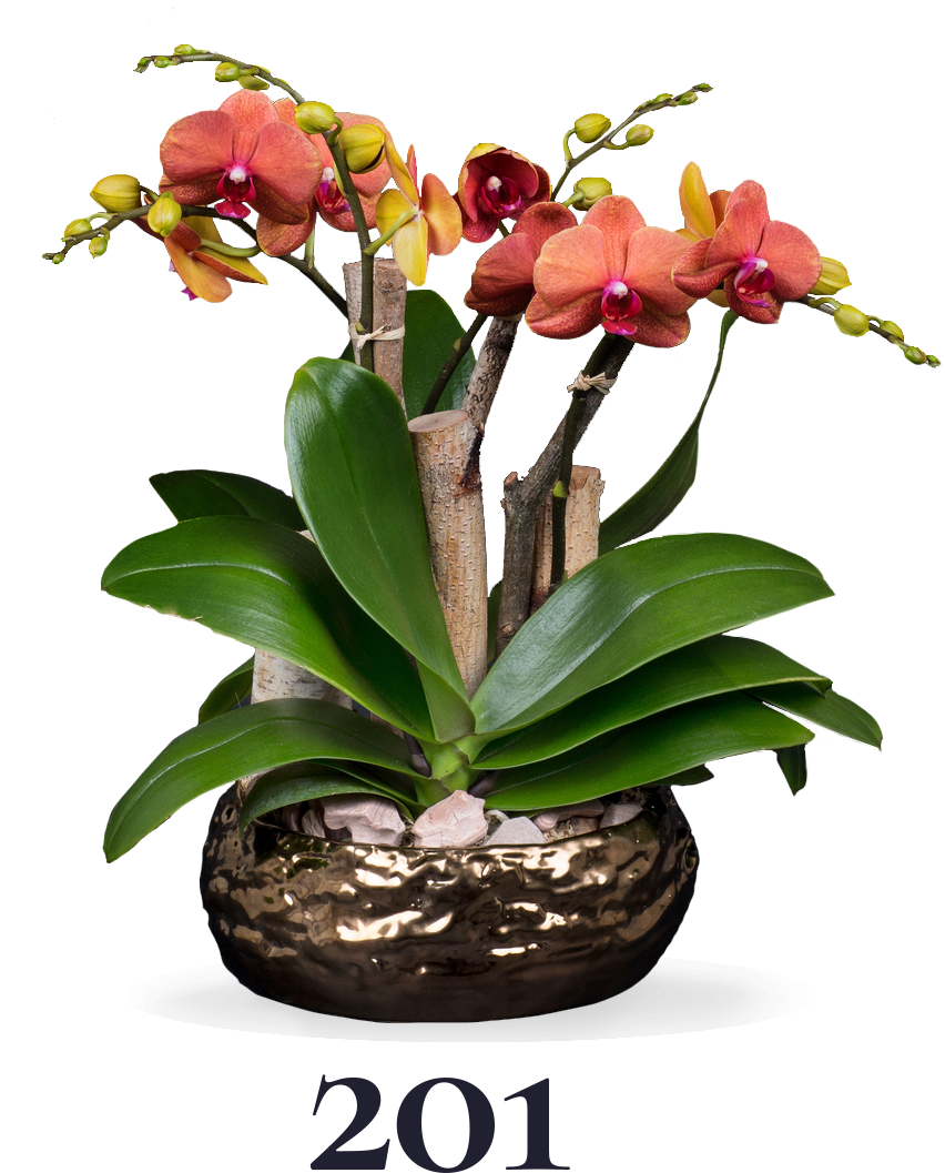 Artificial Flower Clipart (1000x1500), Png Download