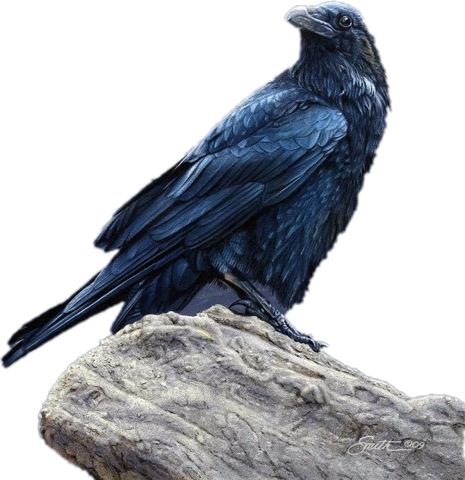 #raven - Raven Daniel Smith Art Clipart (669x690), Png Download