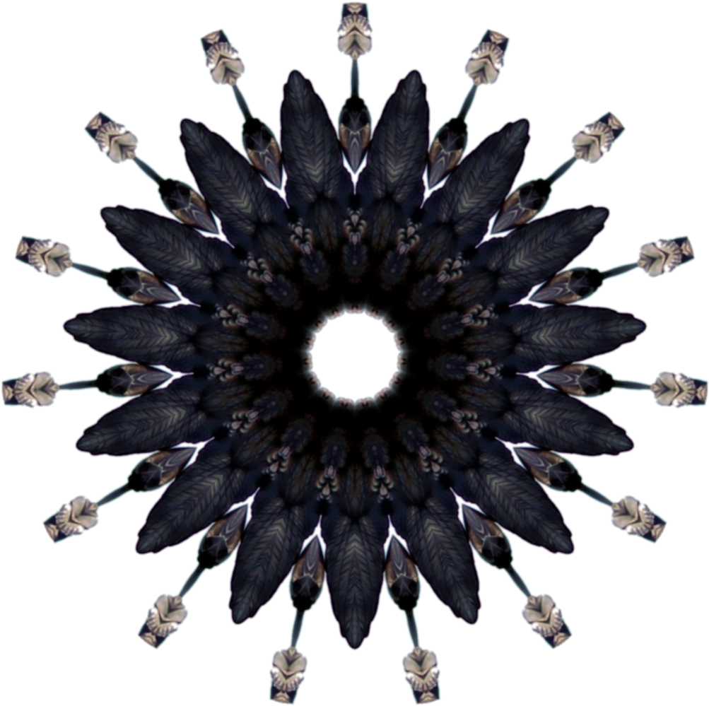 Sea Witch Of Gypsy Cove - Feather Circle Png Clipart (1024x1024), Png Download