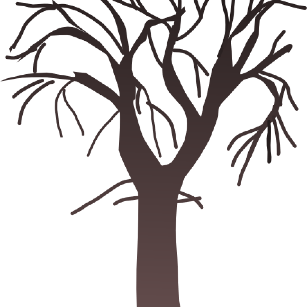 Leafless Tree Png - Clip Art Transparent Png (1024x1024), Png Download