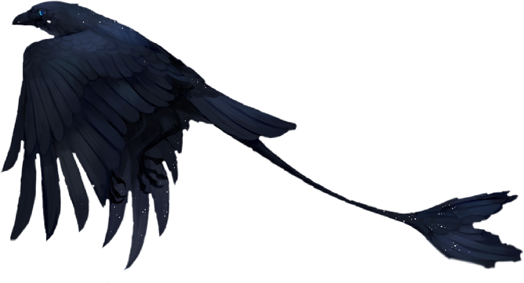 #bird #fantasy #scifi #raven #birds #black #cool #dark - American Crow Clipart (1024x554), Png Download