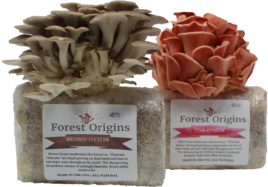 Mushroom Growing Kit Clipart (1200x800), Png Download