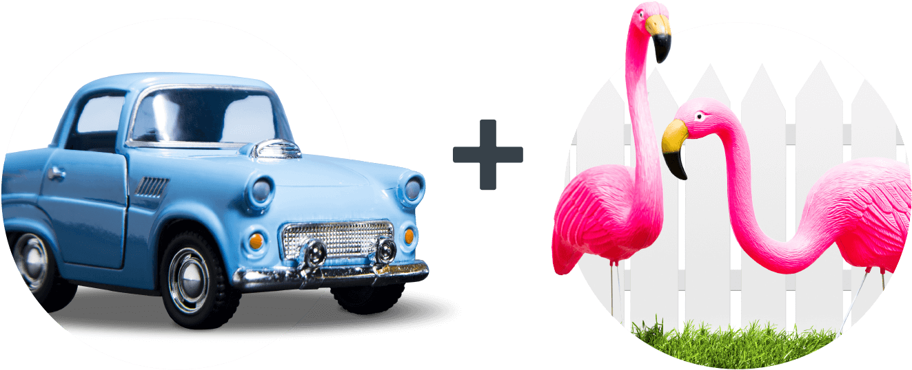 A Flamingo Confuses A Car Driver, Causing A Wreck - Turkey Clipart (1330x540), Png Download