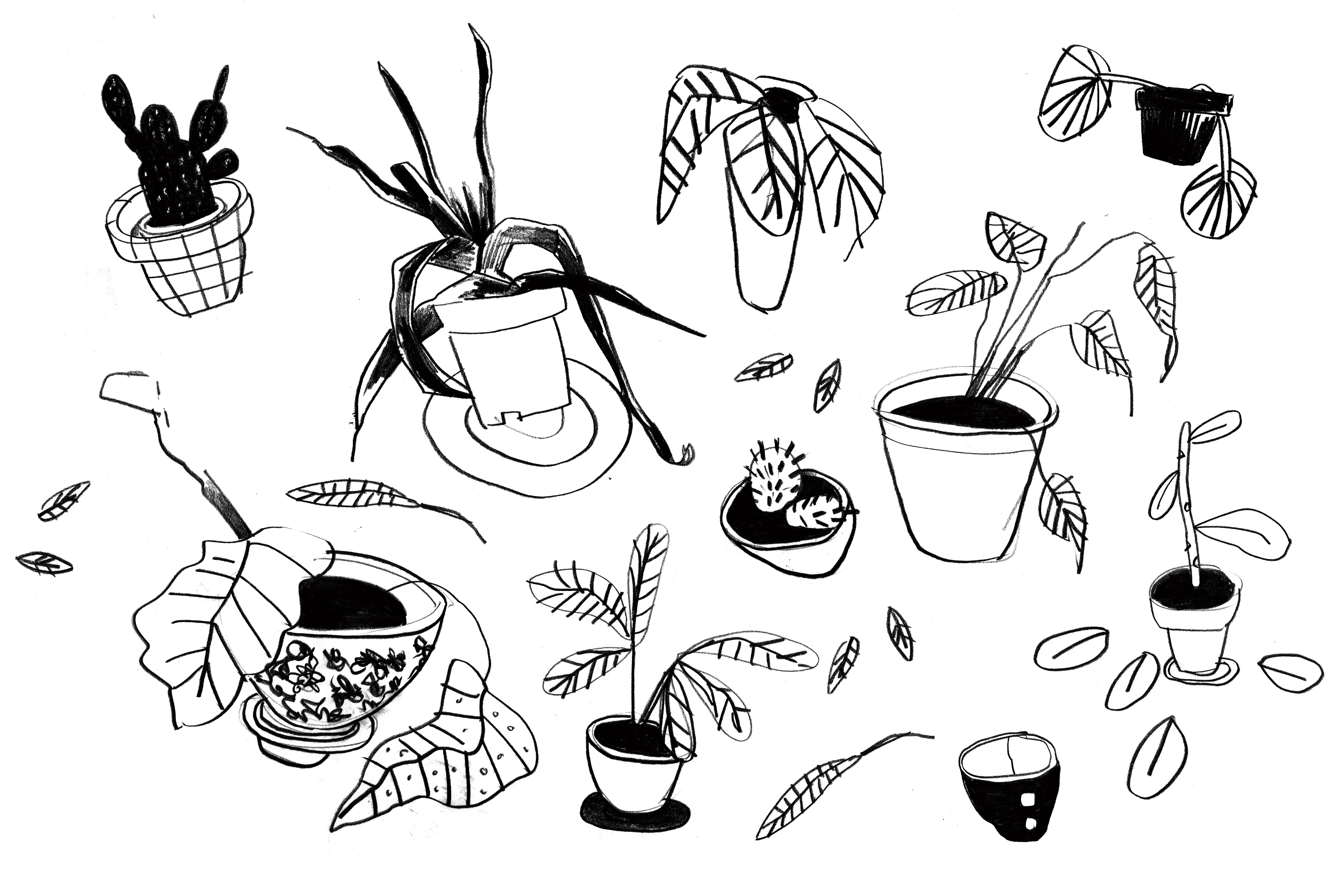 Cartoon Clipart (3508x2480), Png Download