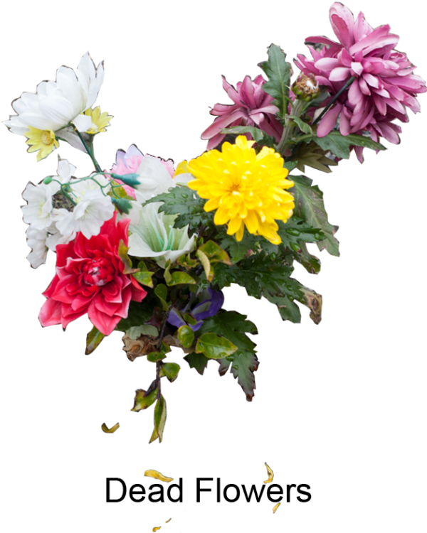 Portfolio - Bouquet Clipart (600x900), Png Download