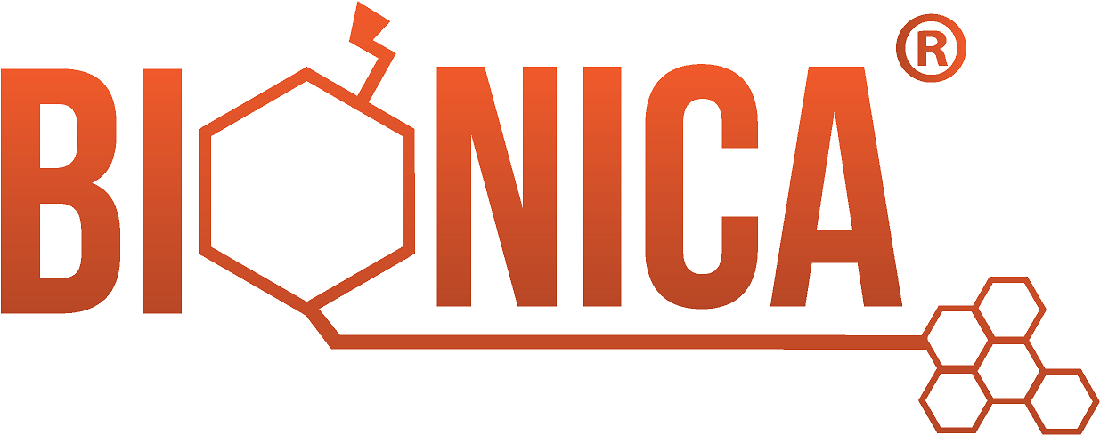 Logo - Bee Clipart (1250x579), Png Download