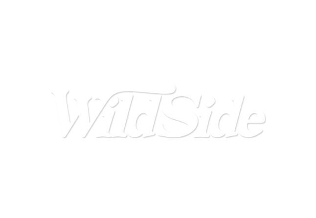 Muscle Truck White - Antique Car Clipart (675x675), Png Download