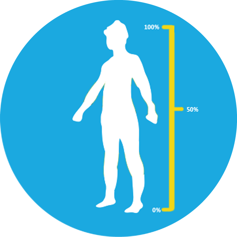 Body Fat Percentage - Illustration Clipart (761x761), Png Download
