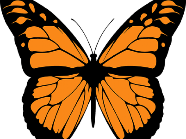 Monarch Butterfly Clipart Colorful Flying Butterfly - Monarch Butterfly Clipart - Png Download (640x480), Png Download