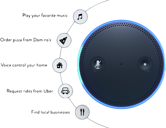 Get Amazon Echo Dot & Professional 24/7 Monitoring - Circle Clipart (771x527), Png Download