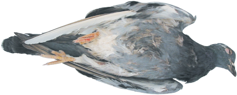 Image - Watercolor Paint Clipart (1280x655), Png Download