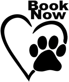 Website Photos Clipart (583x599), Png Download