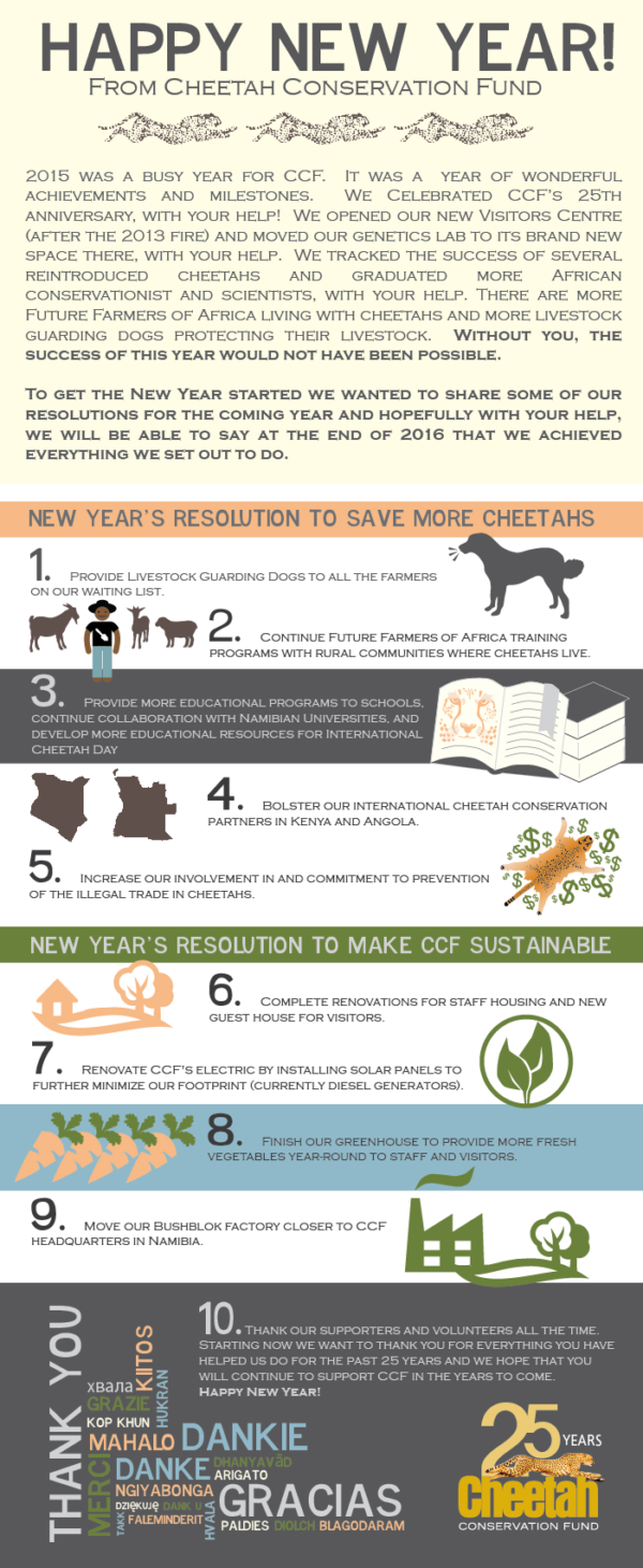 New Year's Resolutions - Companion Dog Clipart (600x1461), Png Download