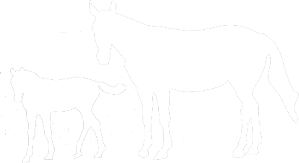 International Races - Mane Clipart (1024x768), Png Download