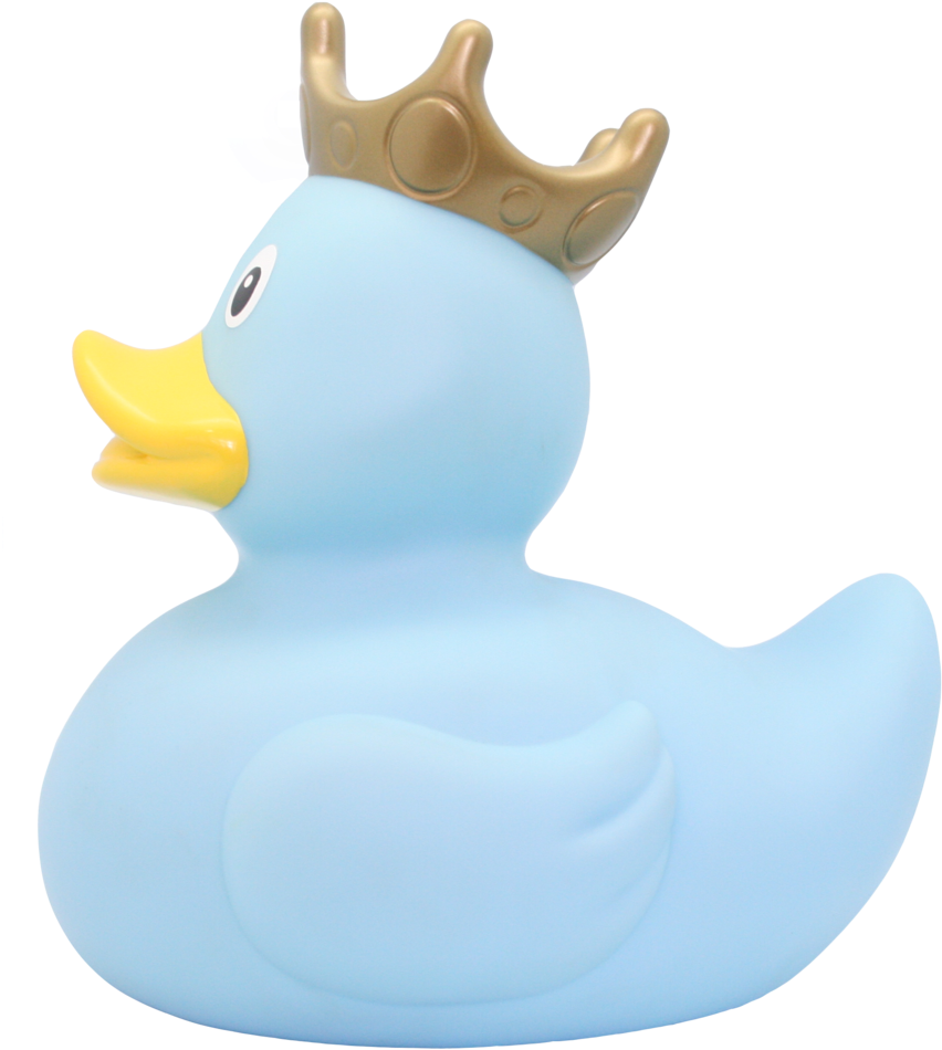 Rubber Duck Png - Duck Clipart (852x950), Png Download