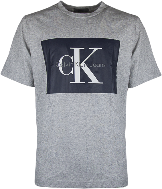 Calvin Klein Clipart (566x660), Png Download