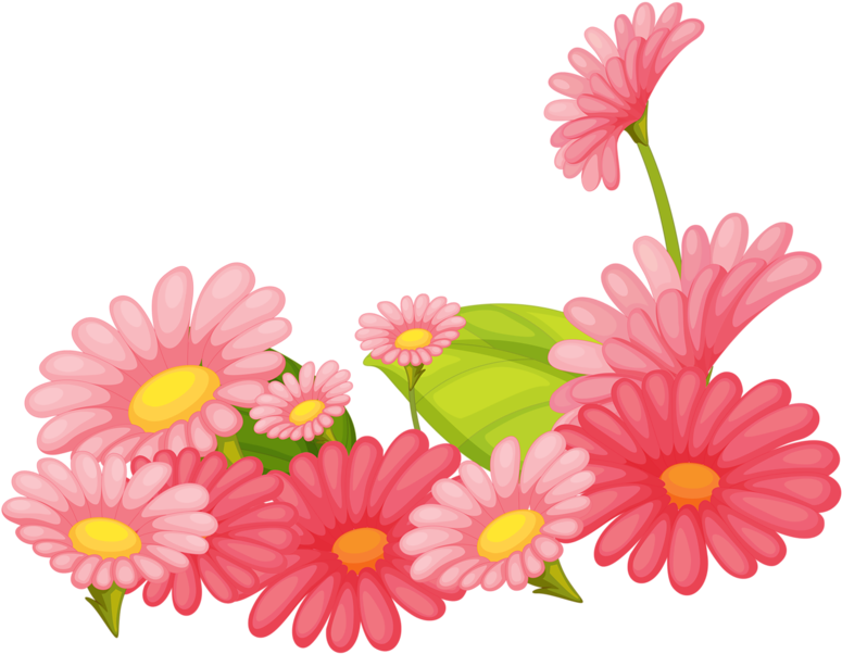 Clip Art , Png Download - Barberton Daisy Transparent Png (775x602), Png Download