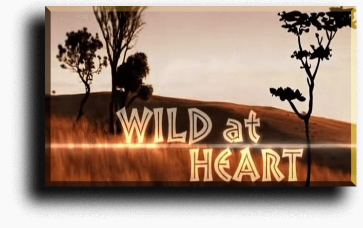 Wild At Heart Tv Series Clipart (724x456), Png Download