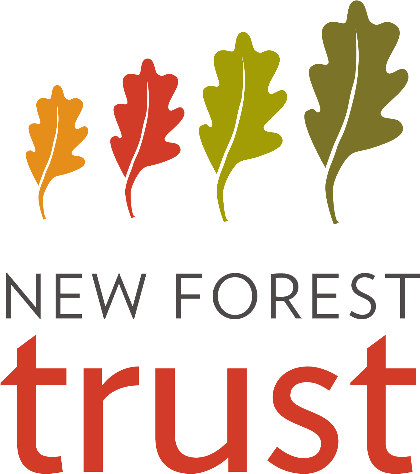 Forest Trust Clipart (1354x1554), Png Download