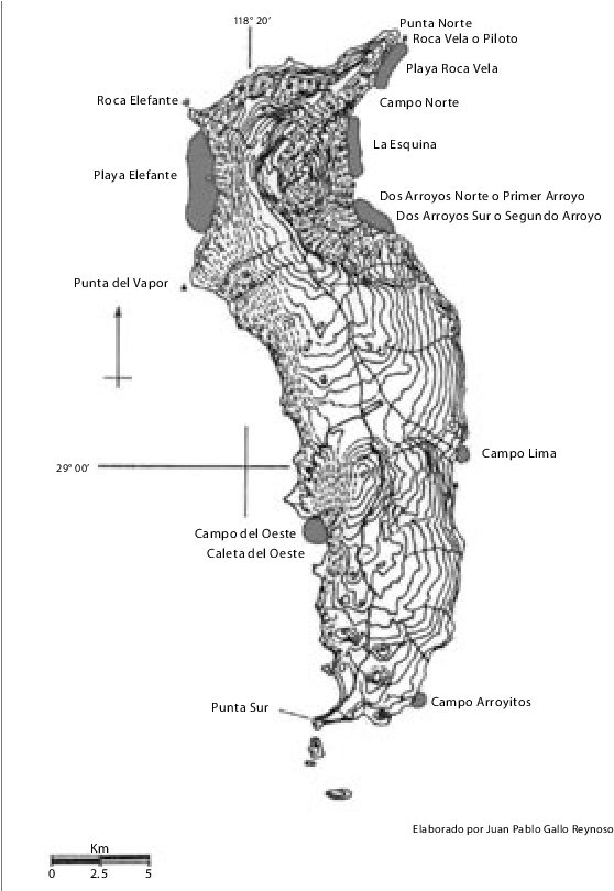 Playas Ocupadas Por Los Elefantes Marinos En Las Costas - Elefante Marino De La Isla Guadalupe Clipart (600x809), Png Download