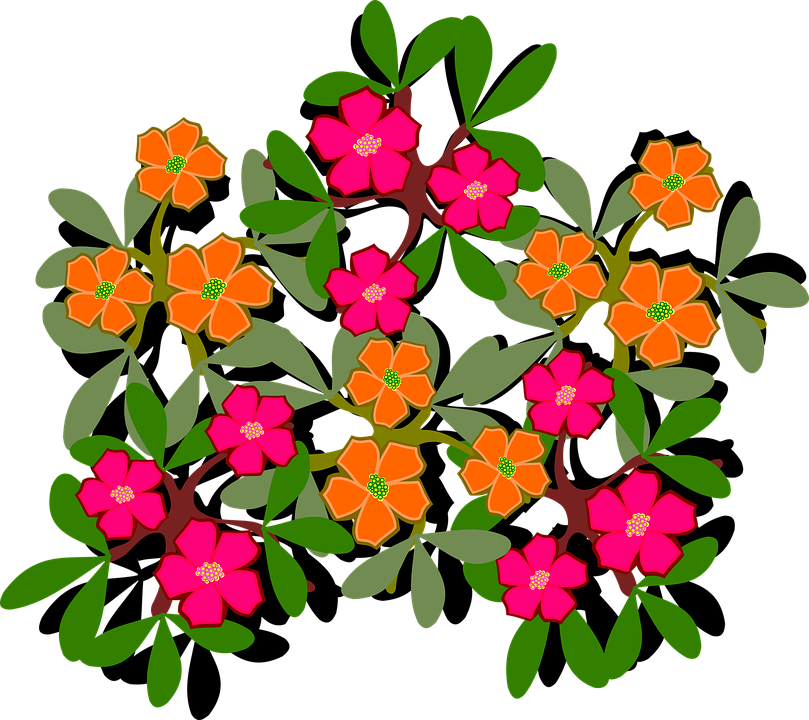 Flowers And Nature Clipart - Png Download (809x720), Png Download