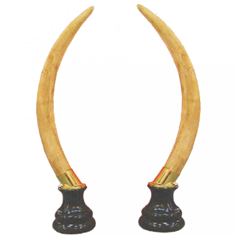 Adornos De Cuernos De Elefante Clipart (1398x930), Png Download