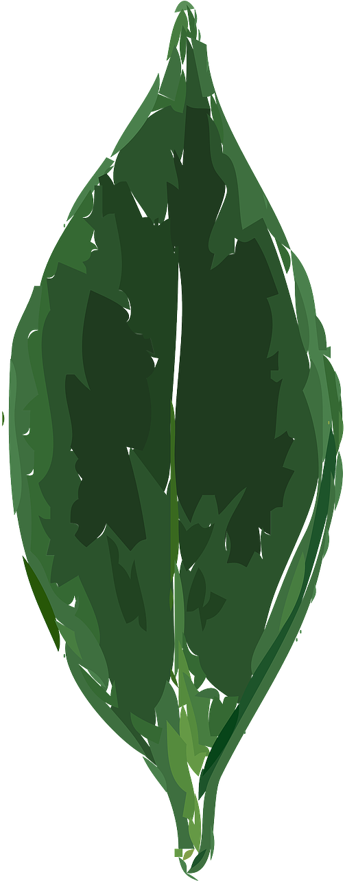 Tea Leaf Clip Art - Png Download (640x1280), Png Download