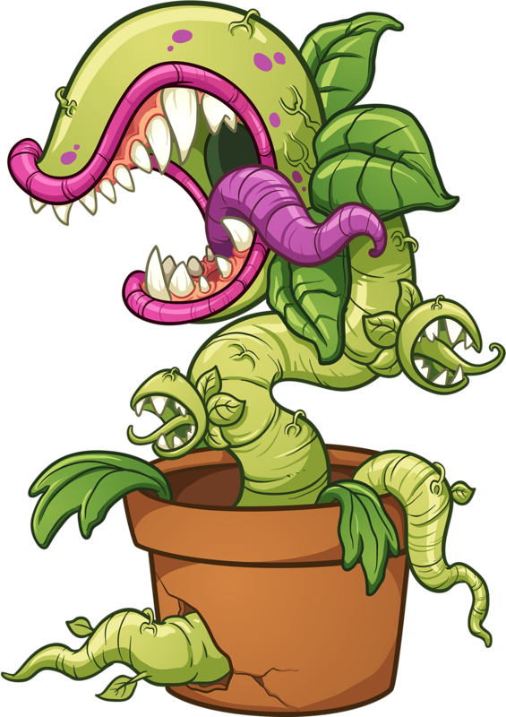 Soloveika Carnivorius Sketches - Carnivorous Plant Draw Clipart (565x800), Png Download