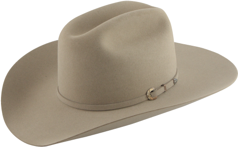 40x Punk Carter Signature Cowboy Hat - Cowboy Hat Clipart (600x600), Png Download