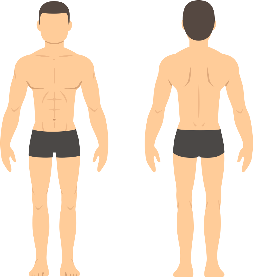 Man Transparent - Man Body Illustration Clipart (897x979), Png Download
