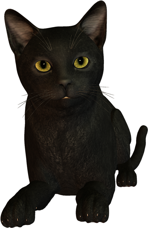 Imágenes De Gatos Negros - Black Korat Clipart (538x800), Png Download